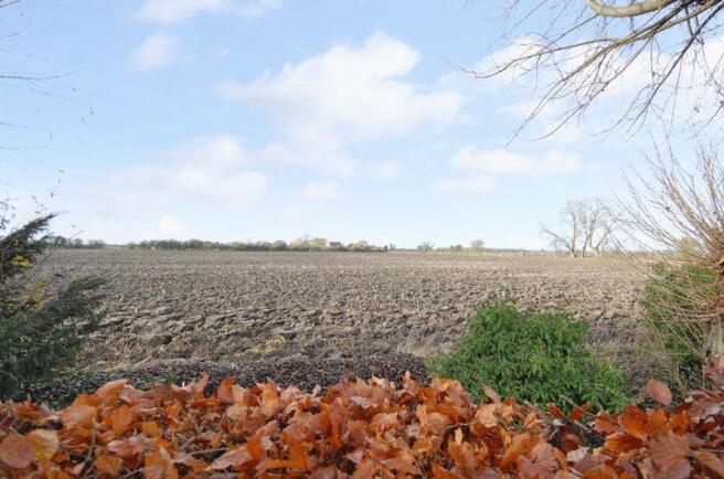 Field View from...
