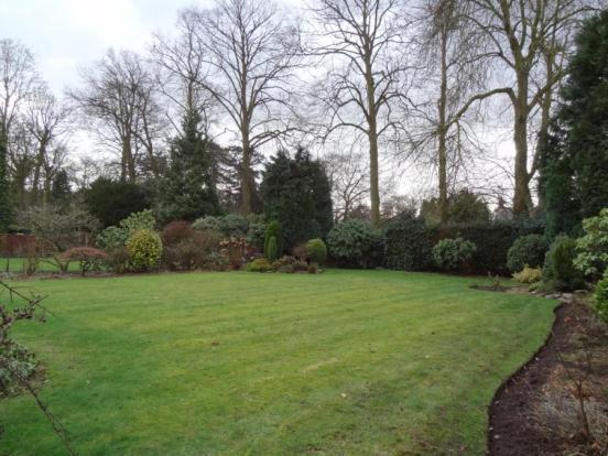 Rear Gardens (2)