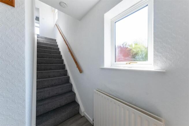 2 Verdin Close-012.jpg