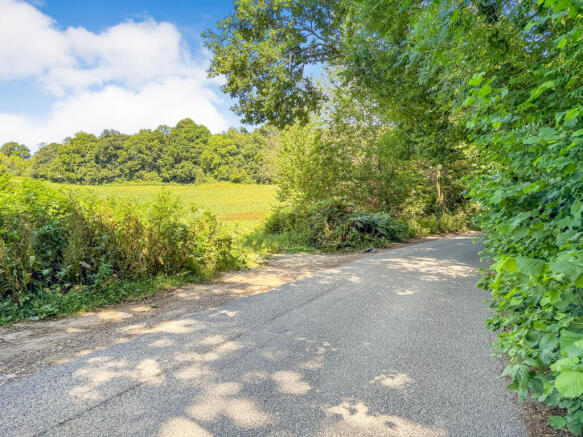 11-07-2025__15-33-45_IMG_0547.9RhwK