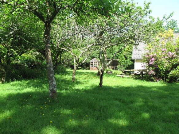 Photo 11