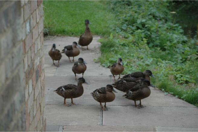 Photo 28
