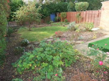 Photo 6