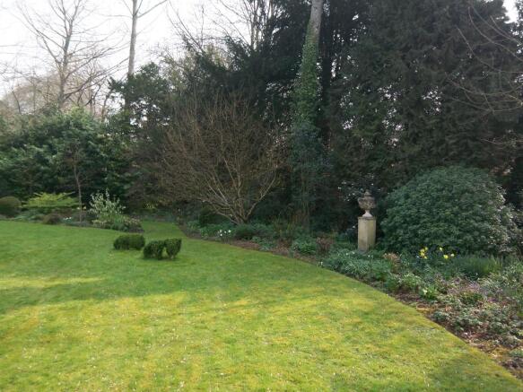 Photo 12