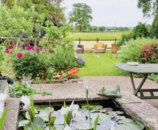 Pond-summer