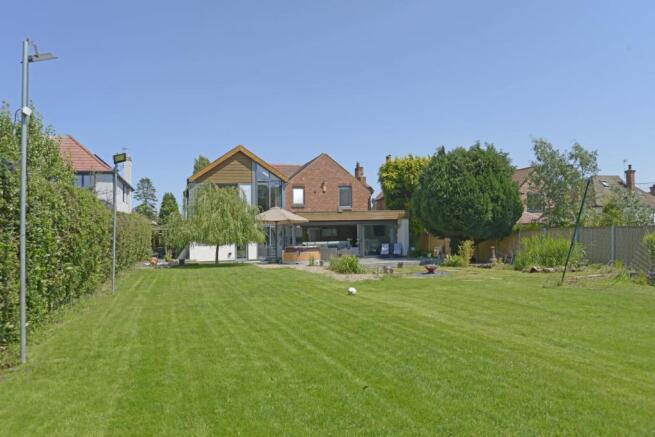 Back Garden