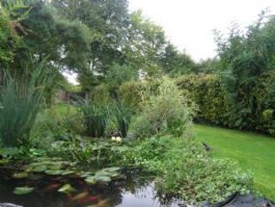 Pond