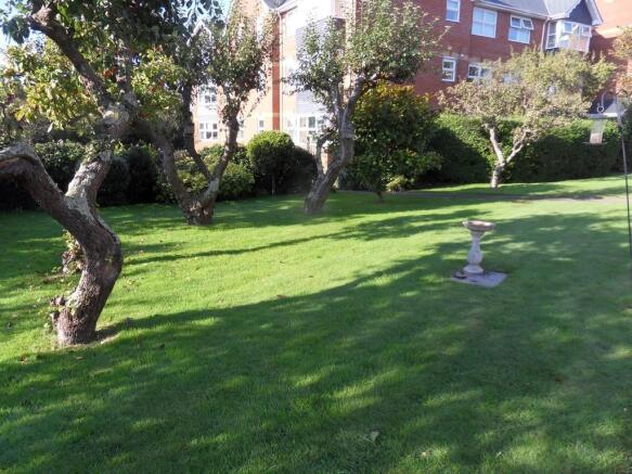 Photo 9