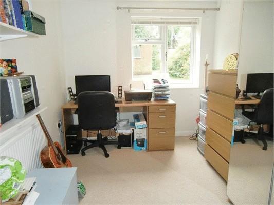 Photo8
