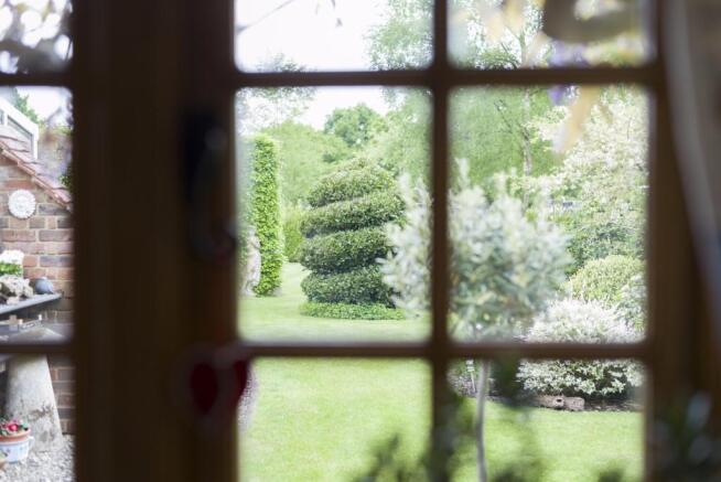 Photo 42