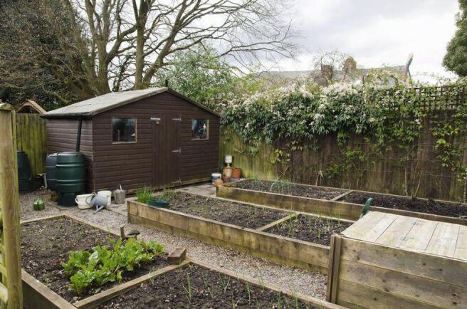 Vegetable Garden