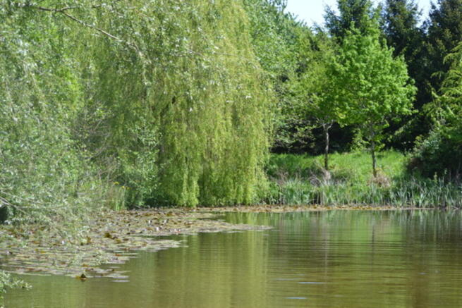 Photo 24