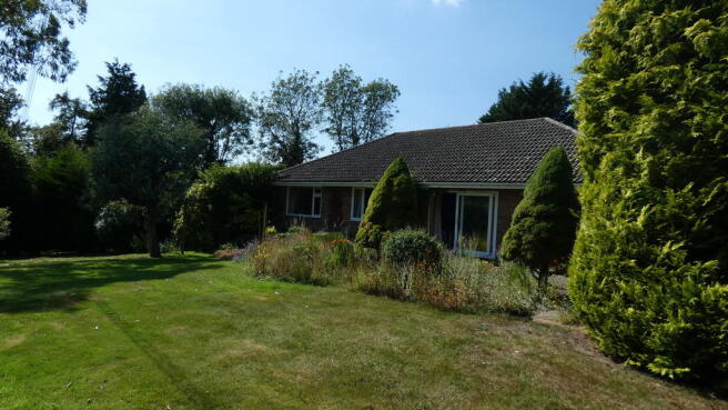 Photo 22