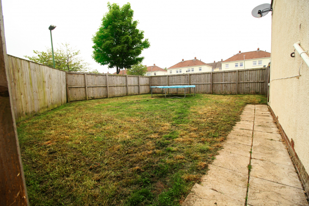 Back Garden 