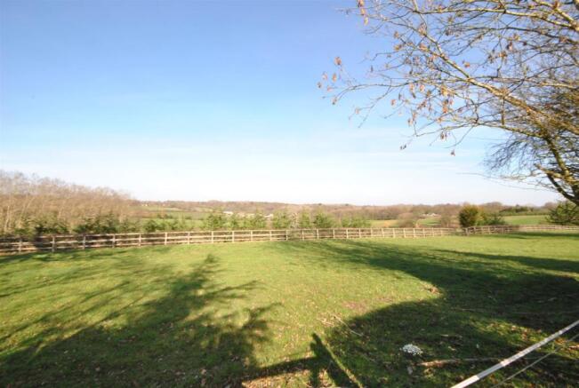 view over paddock field .JPG