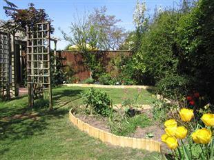 Photo 10