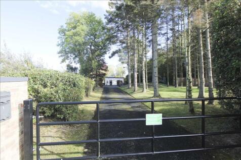 Fox Covert, Stannington, Stannington
