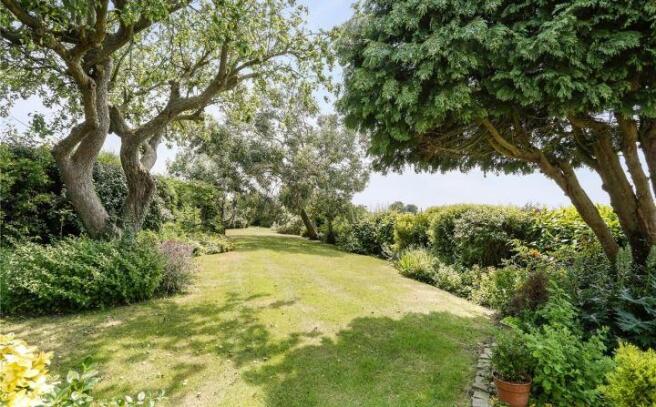 South-Facing Garden