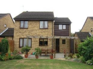 Rear Elevation