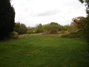 Side Lawns
