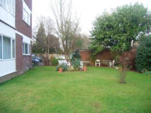 Communal Garden