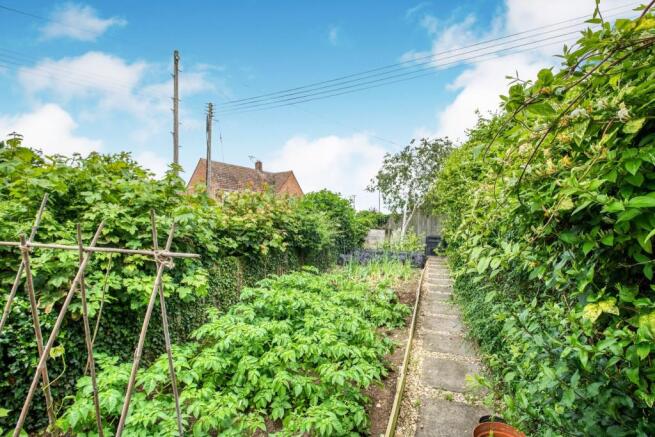 Vegetable Plot