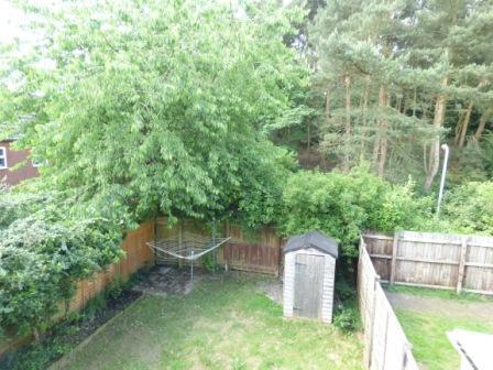Photo 24