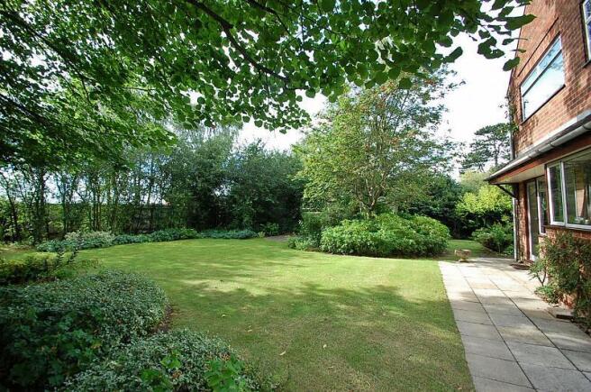 side of garden