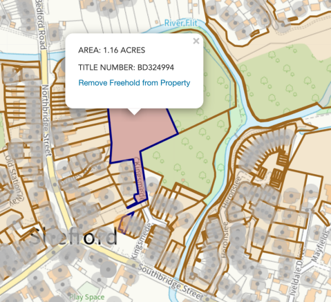 Site