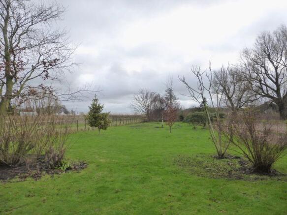 LARGE Garden Plot