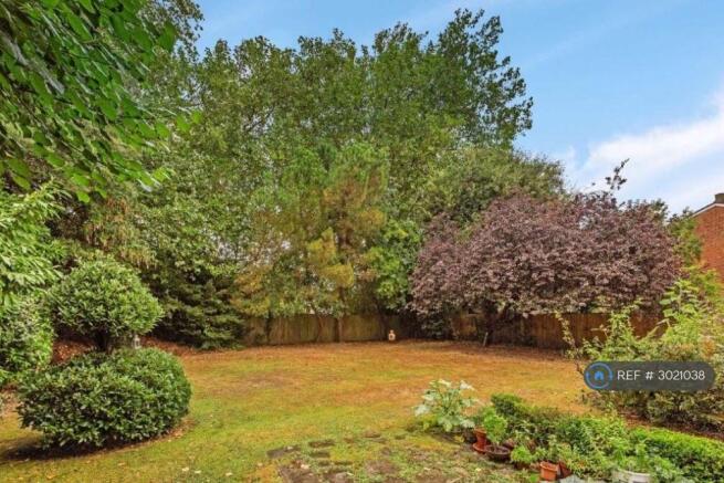 Rear Garden 2