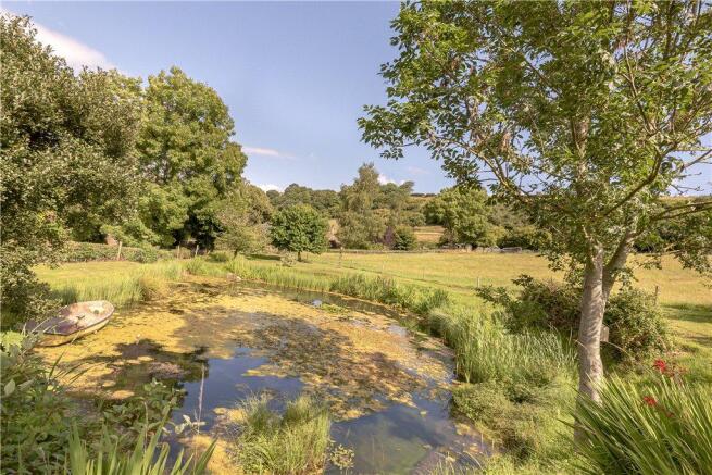 Pond