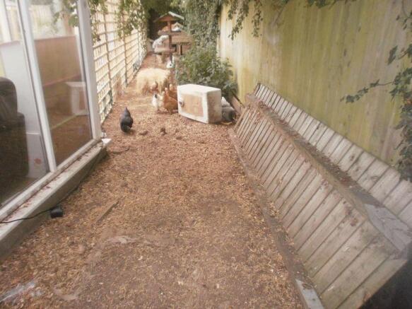 Chicken run