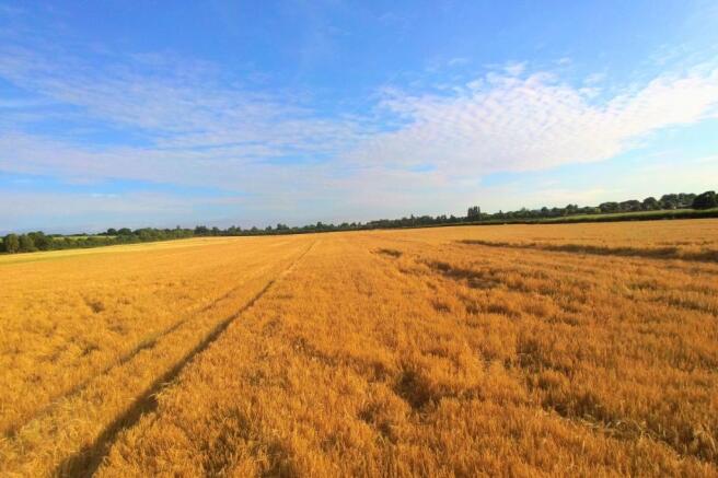 Drone Image