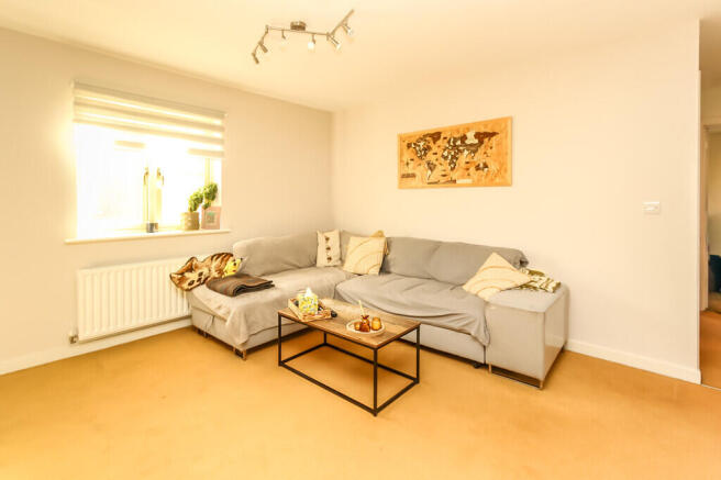 Lounge Area
