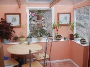Conservatory/Sun Room