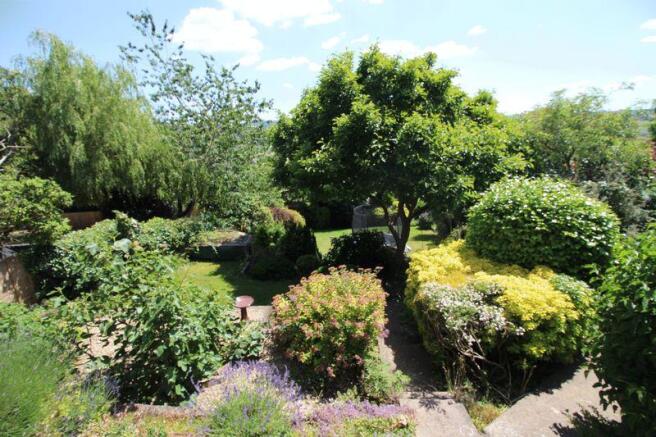 Rear Gardens