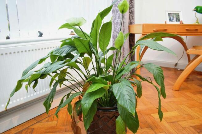 Photo 22