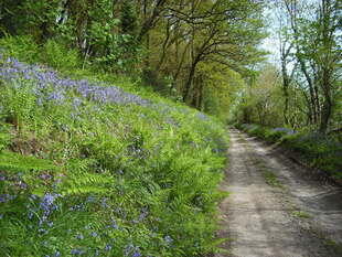 Photo 25