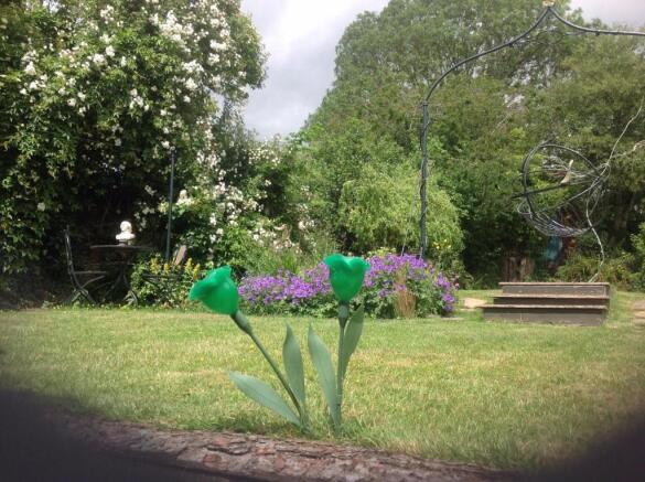 garden 2.jpg