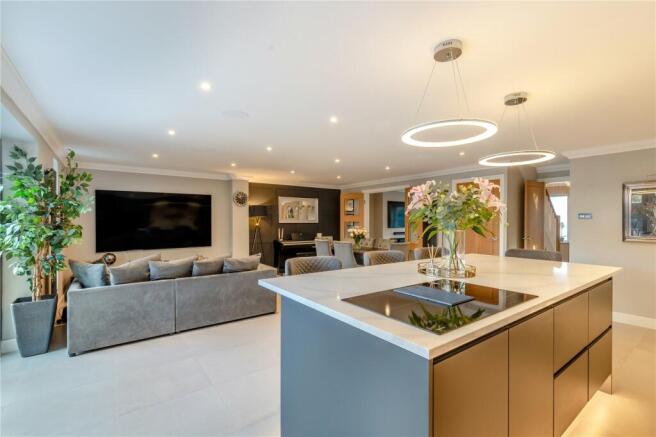 Kitchen/Living Area