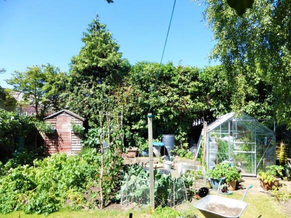 Vegetable Garden