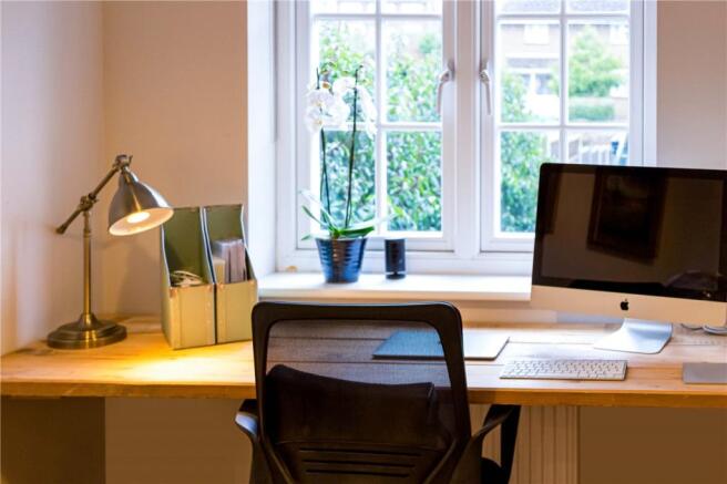 Study Area
