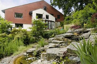 Garden including waterfal