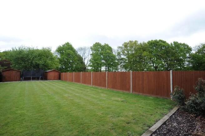 garden 2.jpg