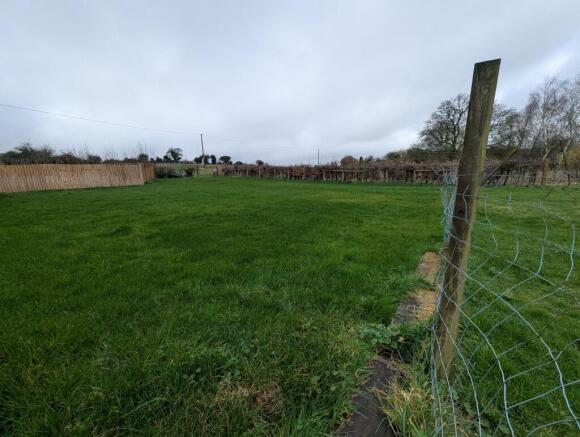 1000036555 T202602271603.jpg