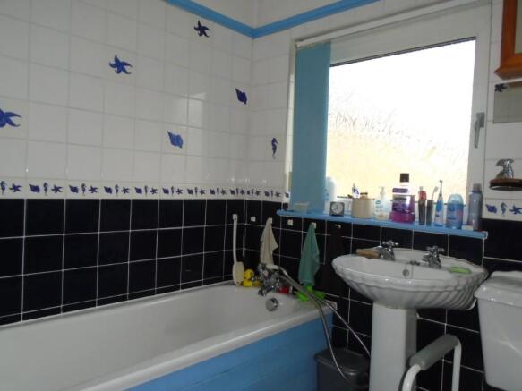 Photo 11
