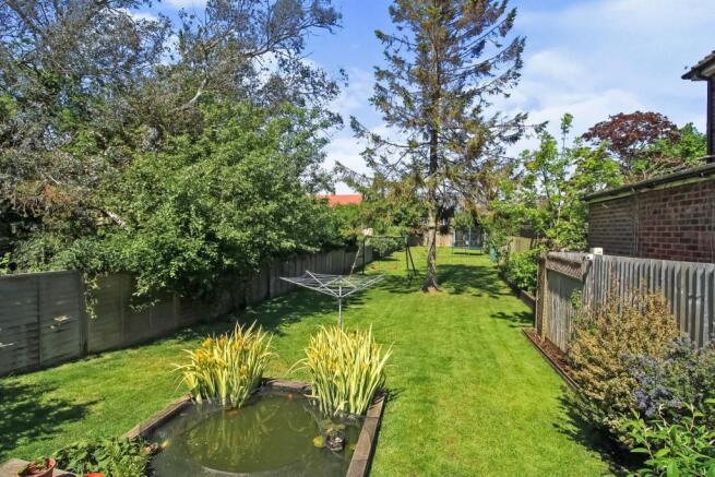 Back Garden