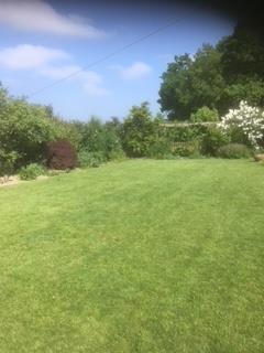 Garden 5.jpg