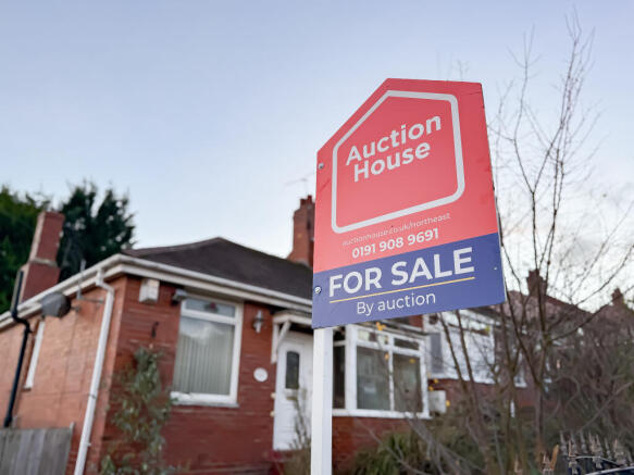 IMG 9336 2 T202512121005.jpg